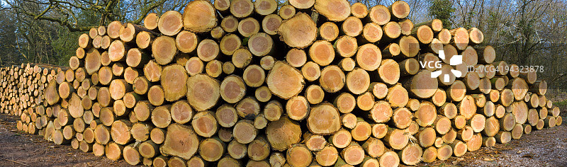 林业采伐全景图片素材
