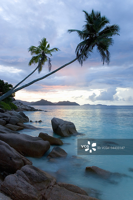 塞舌尔迪格岛严峻海湾的黄昏棕榈树图片素材