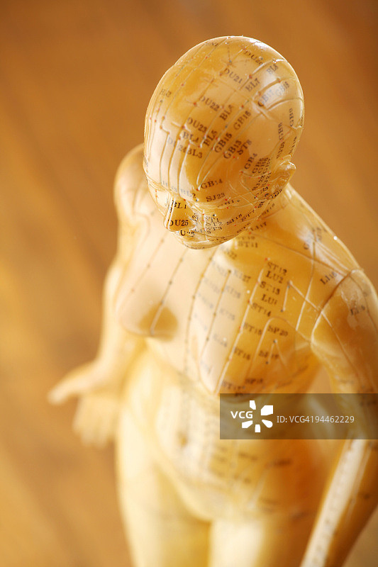 俯视角度的针灸女性模型图片素材