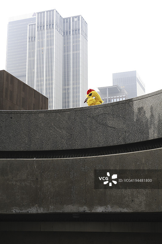 穿着小鸡服装用手机交谈的人图片素材