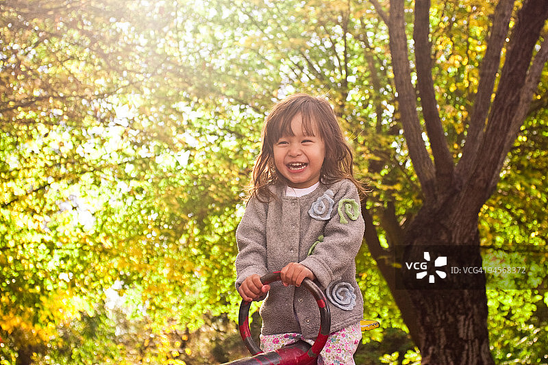 跷跷板图片素材