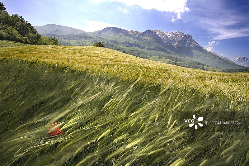 田野间的风图片素材