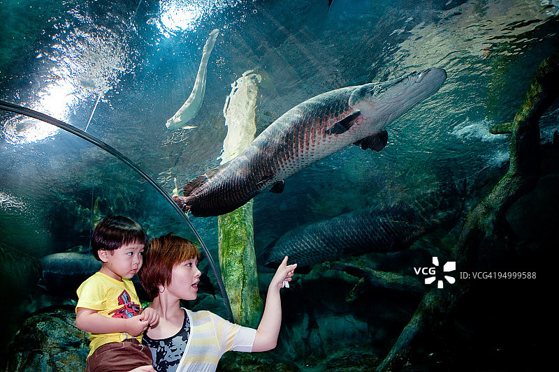 母亲与孩子们在水族馆图片素材