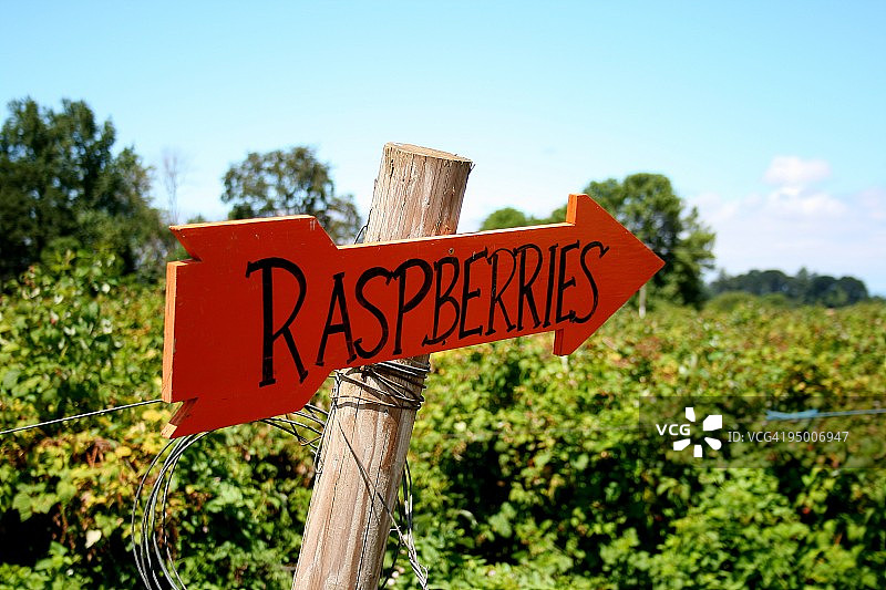 箭头符号图片素材