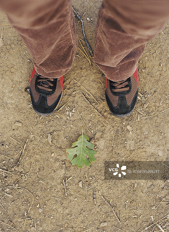 腿和一片叶子图片素材