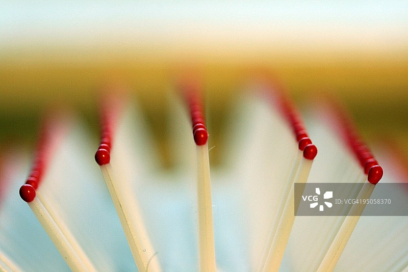 我的发刷微距摄影图片素材