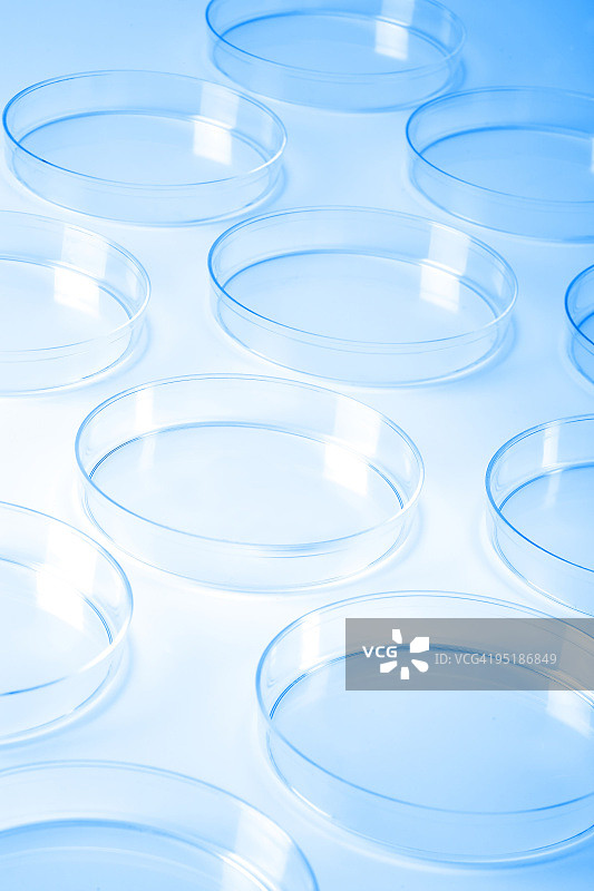 实验室中的培养皿图片素材