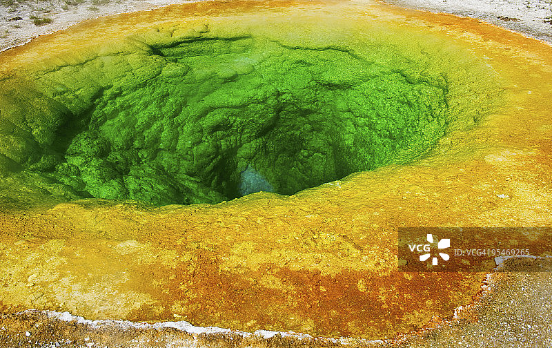 牵牛花池图片素材