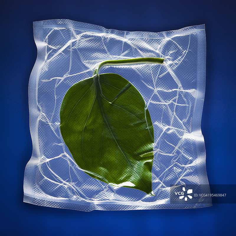 用保鲜膜包裹的绿叶图片素材