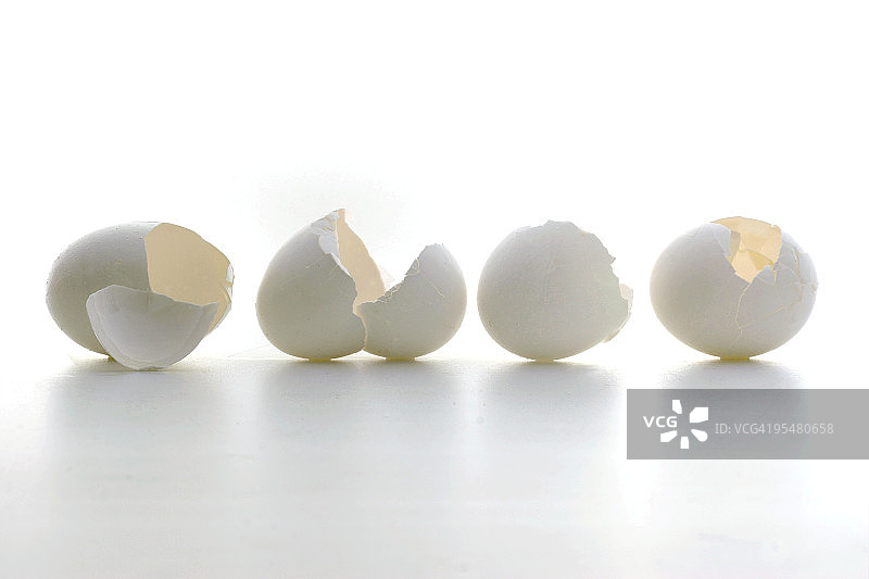 蛋壳静物图片素材