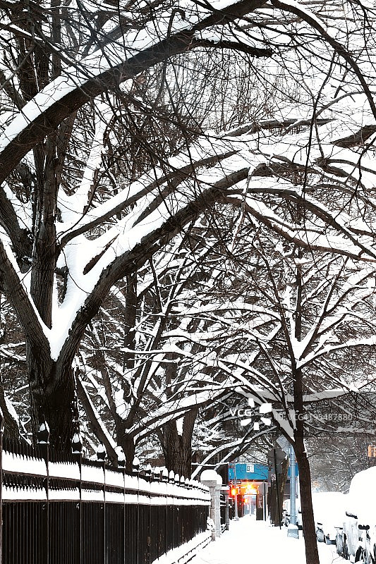雪树与雪街图片素材