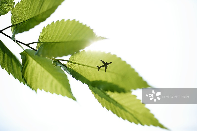 飞行图片素材