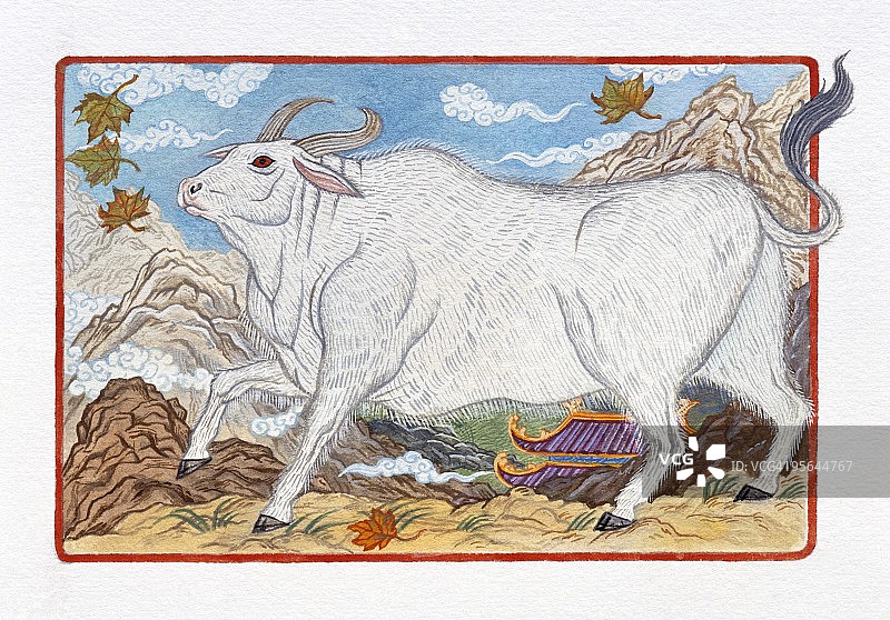 代表中国牛年的生肖牛插画图片素材