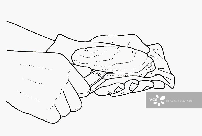 用开罐器打开牡蛎的黑白插画图片素材