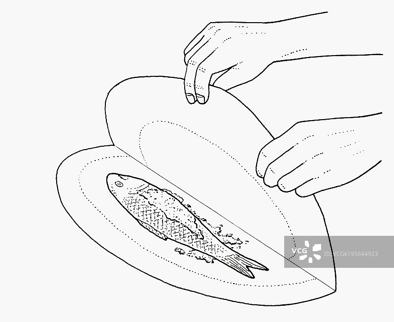 用不粘烘焙纸包裹鱼的黑白插图图片素材