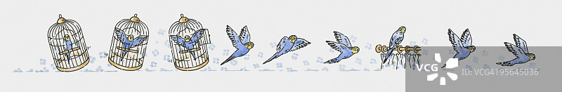 蓝色虎皮鹦鹉在鸟笼内外飞行的插画序列图片素材