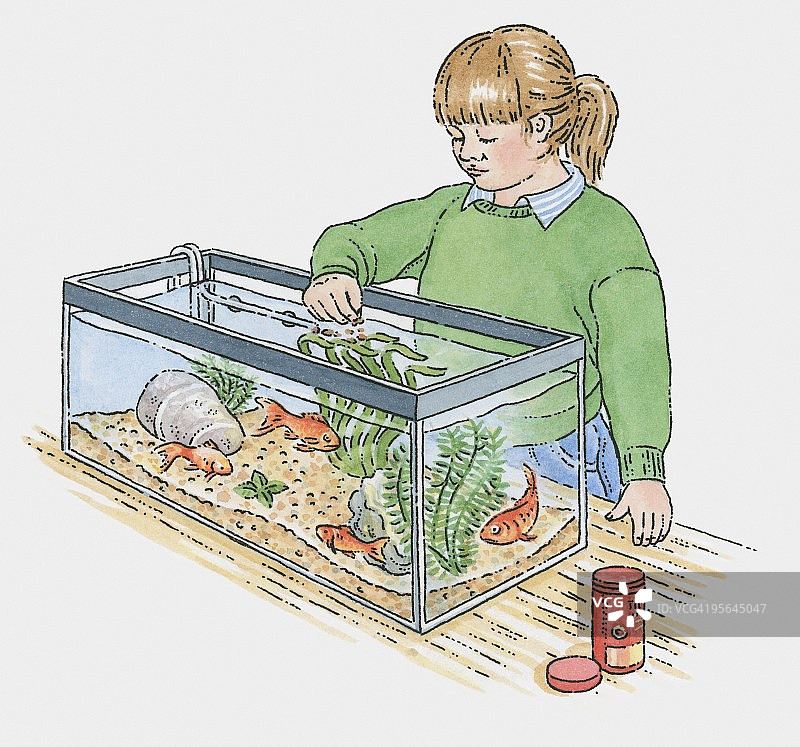 女孩喂金鱼插画图片素材