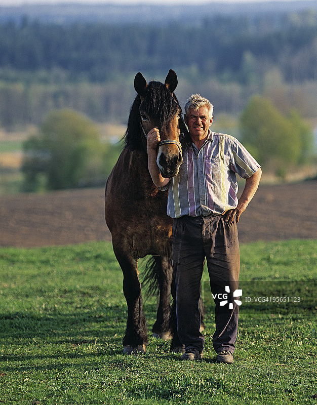 男人牵着一匹役用马，瑞典图片素材
