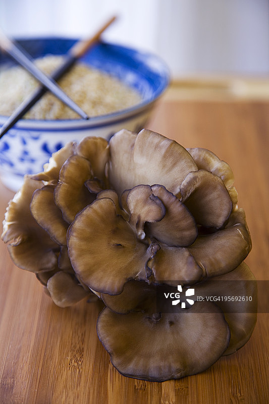 灰树花蘑菇图片素材