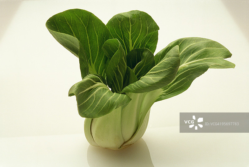 山羊蔡图片素材