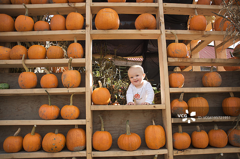 在摆满南瓜的农产品摊位上微笑的婴儿图片素材