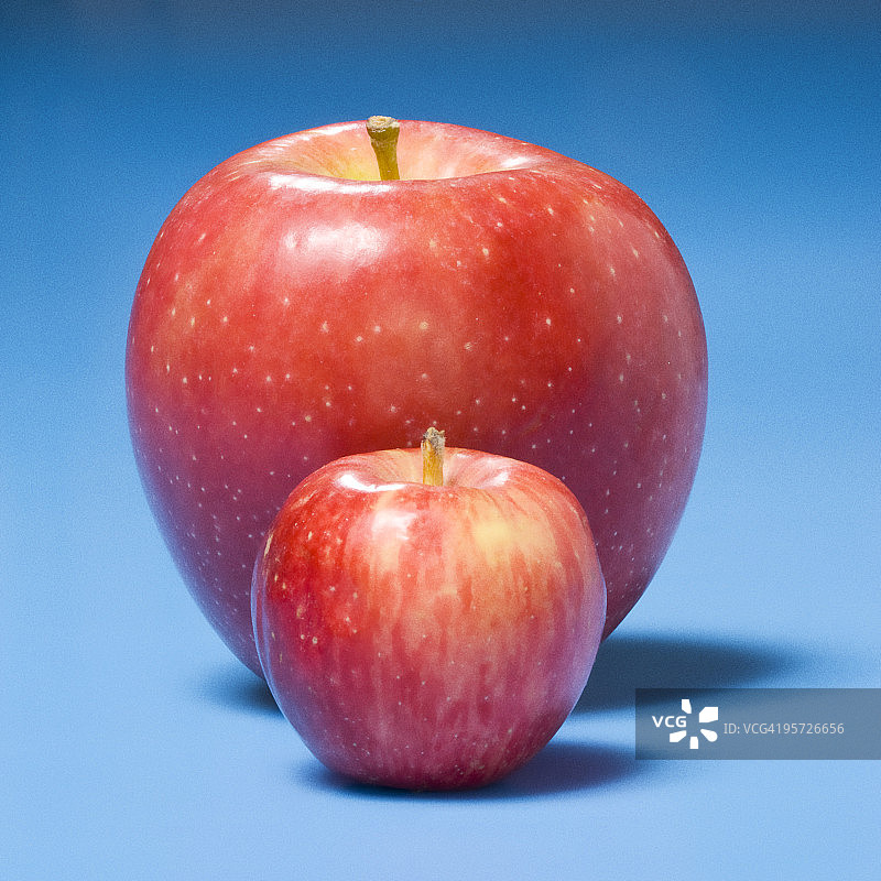 蓝色背景上的大小苹果图片素材