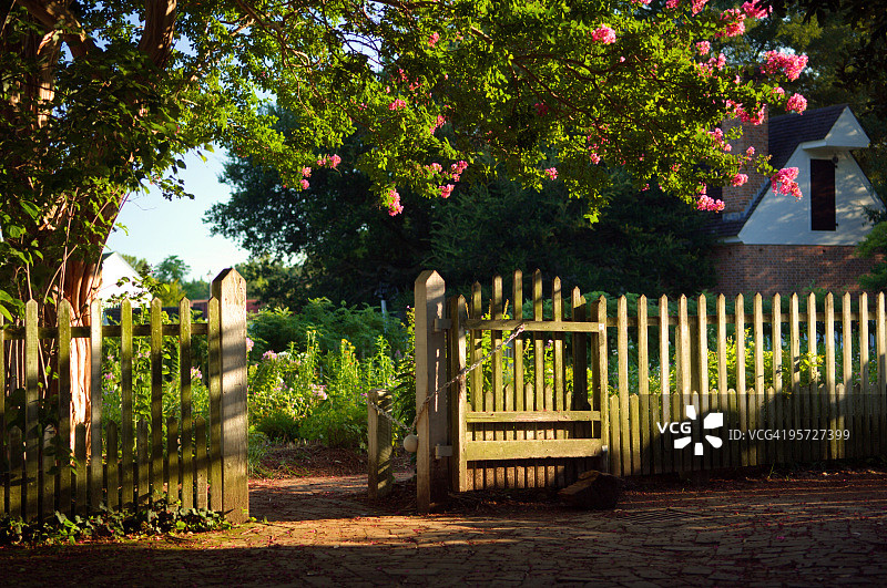 房子外白色尖桩篱笆旁的盛开树木图片素材