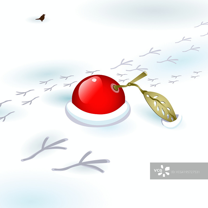 雪地花楸与小鸟足迹图片素材