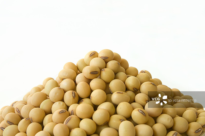 大豆图片素材