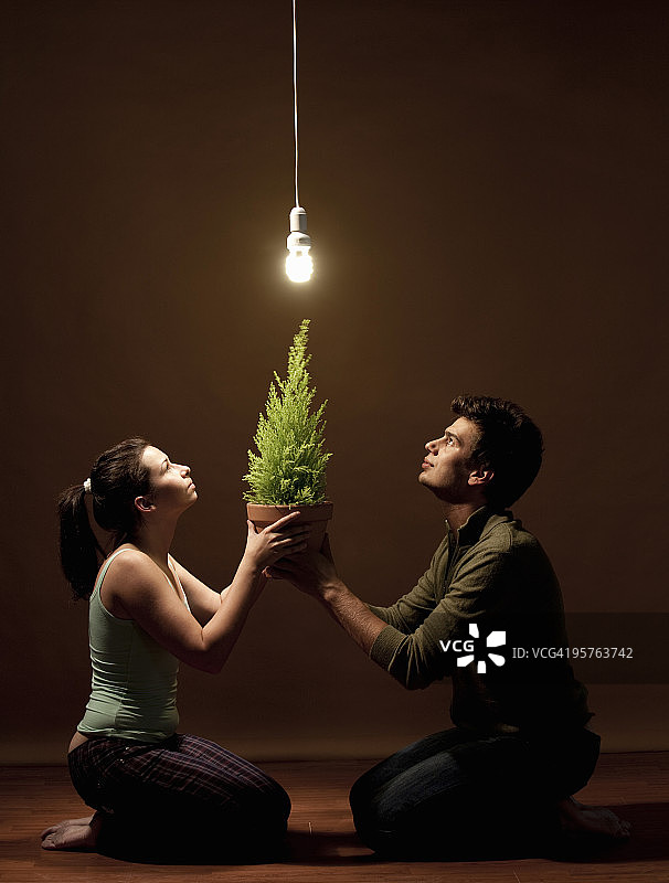 情侣与植物和节能灯泡图片素材