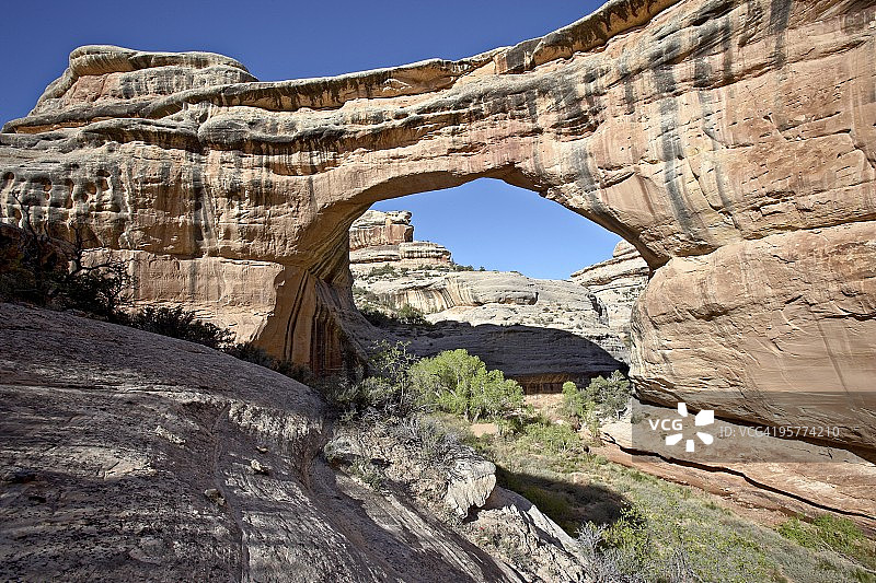 犹他州天然桥国家纪念碑锡帕普天然桥图片素材