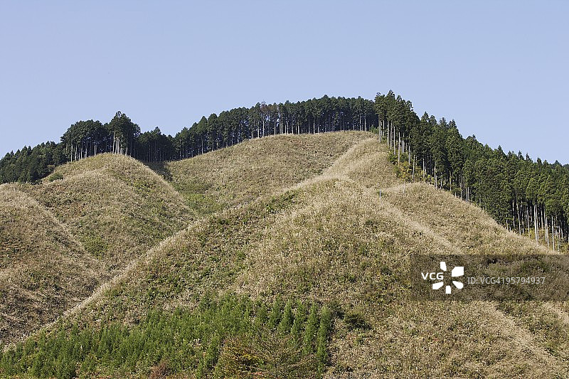 树木砍伐图片素材