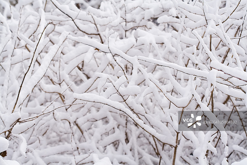 雪图片素材