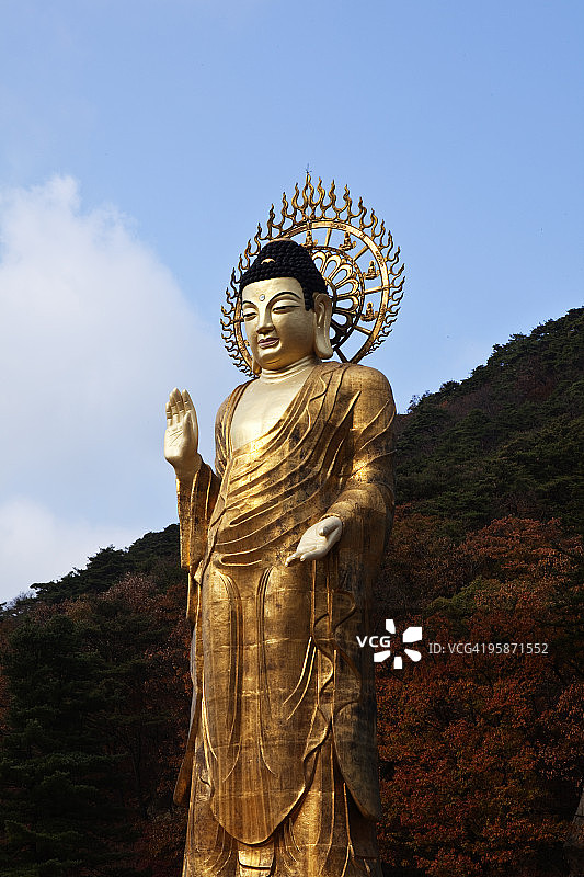 大型佛像图片素材