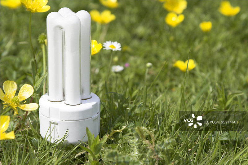 草地与鲜花上的节能灯泡图片素材