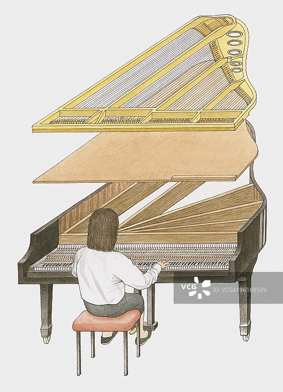 展示钢琴发声原理的女性演奏钢琴横截面图图片素材