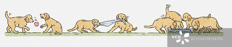 拉布拉多幼犬在户外玩耍的插画序列图片素材