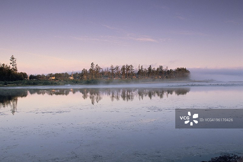 马塞特，格雷厄姆岛，夏洛特皇后群岛，不列颠哥伦比亚省，加拿大，北美图片素材