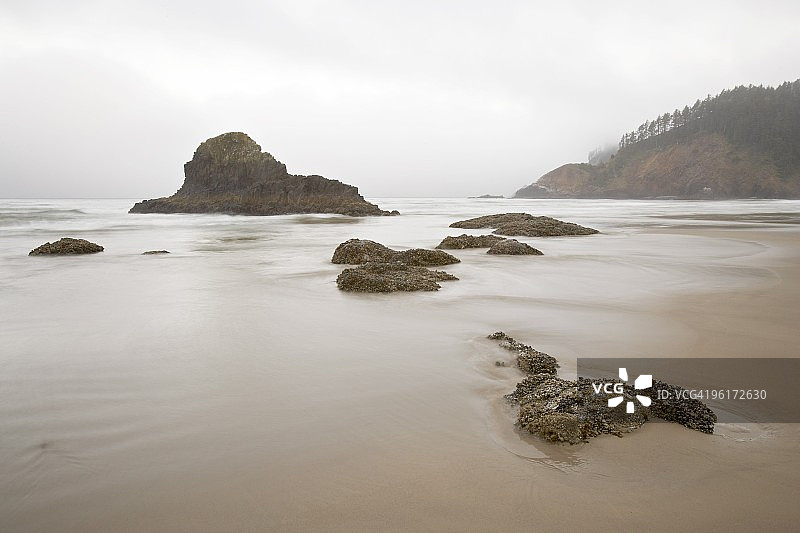 雾蒙蒙的早晨，美国俄勒冈州埃科拉州立公园印第安海滩的海蚀柱图片素材