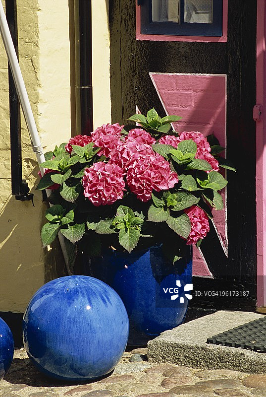 丹麦气球岛上的房屋外的盆栽植物图片素材