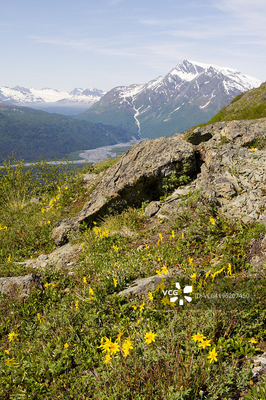 汤普森通道的春天图片素材