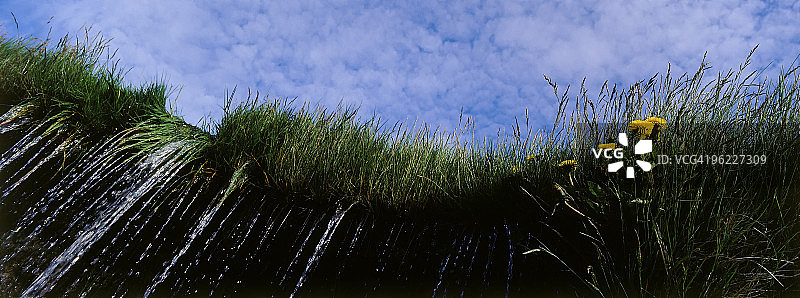 瀑布和绿草图片素材