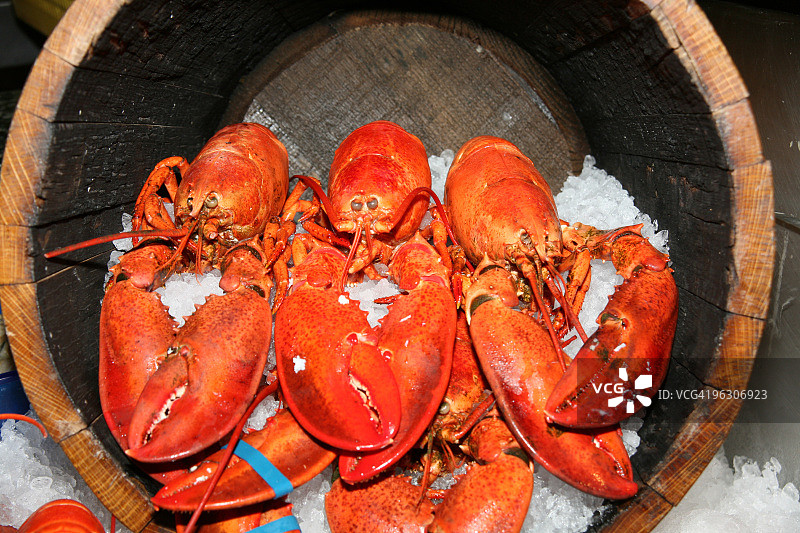 一桶龙虾图片素材