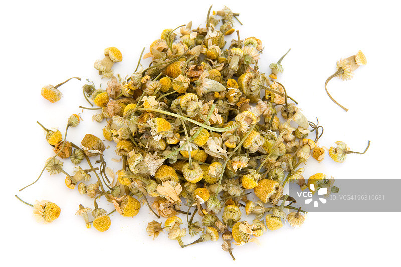 白色背景洋甘菊堆图片素材