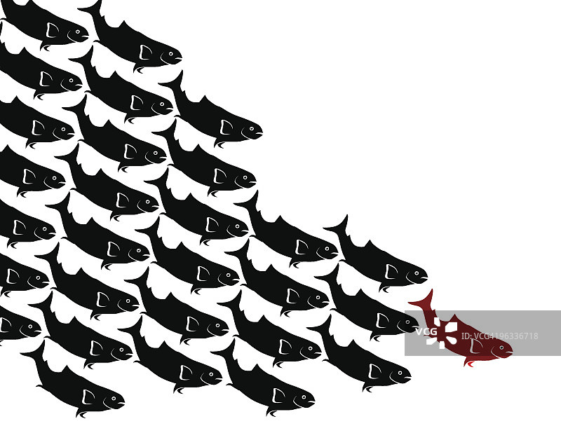 学校领导图片素材