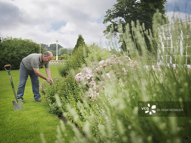 园丁照料花坛图片素材