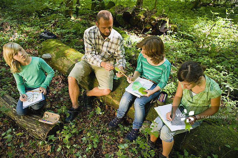 老师和学生在树林里图片素材