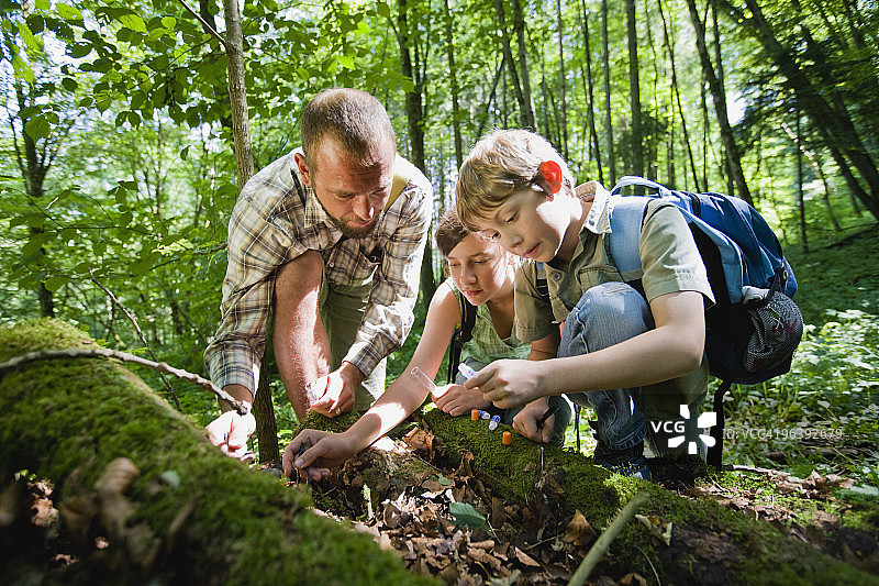 老师和学生在树林里图片素材