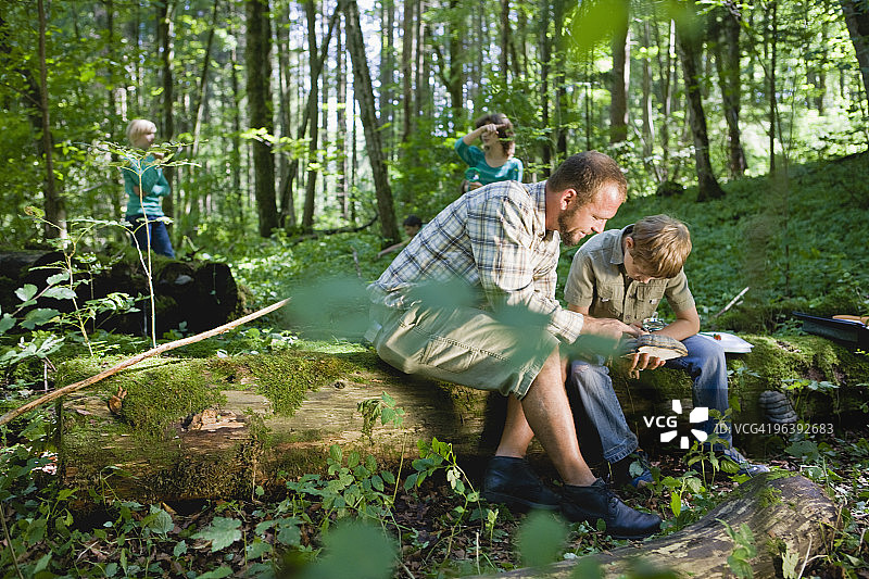 老师和学生在树林里图片素材