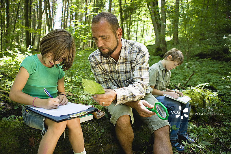 儿童和老师在树林里图片素材